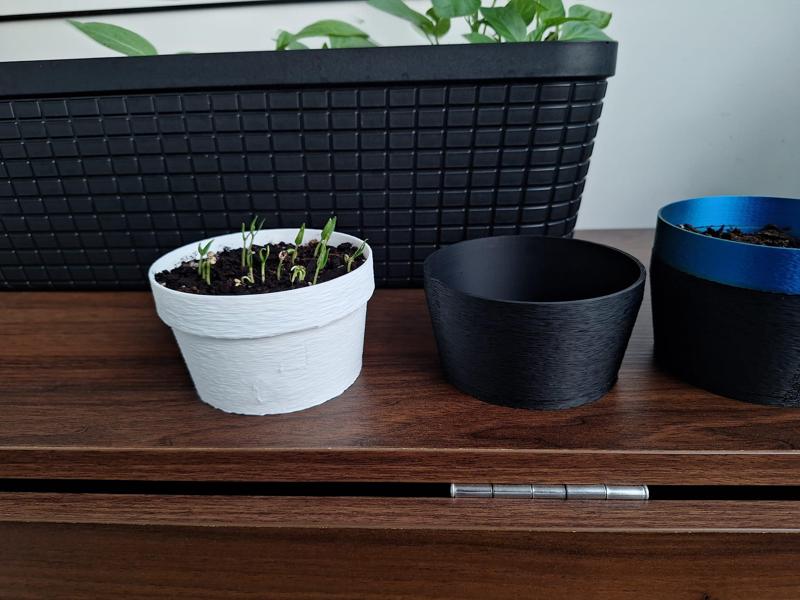 Small Pot Plant