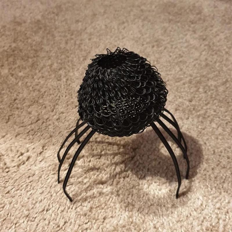 Hairy jumping spider