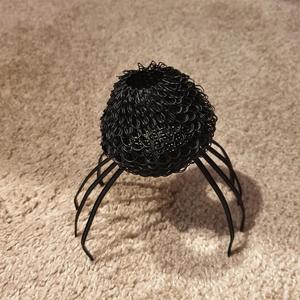 Hairy jumping spider
