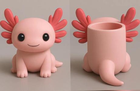 Axolotl organizer   
