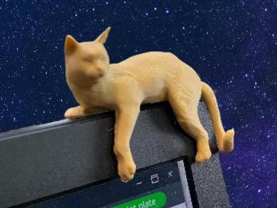 Lounging Cat 