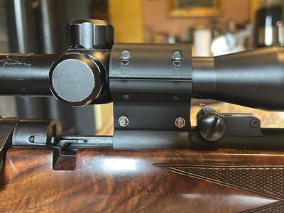 Beretta Olympia .22