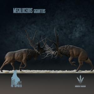 Megaloceros giganteus : Display Fight