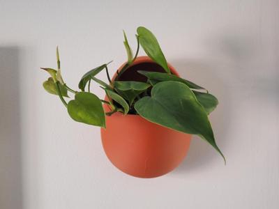 Vintage Egg Shaped Wall Planter  Hanging Indoor