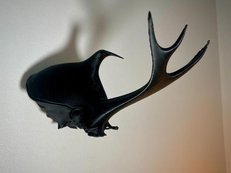 Rhinoceros Beetle Wall Mount (no supports)