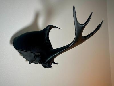 Rhinoceros Beetle Wall Mount (no supports)