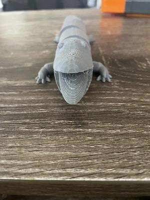 articulated blue tongue lizard