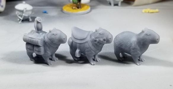Capybara Companions