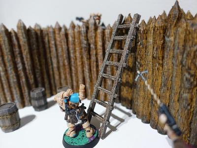 Wood Ladder