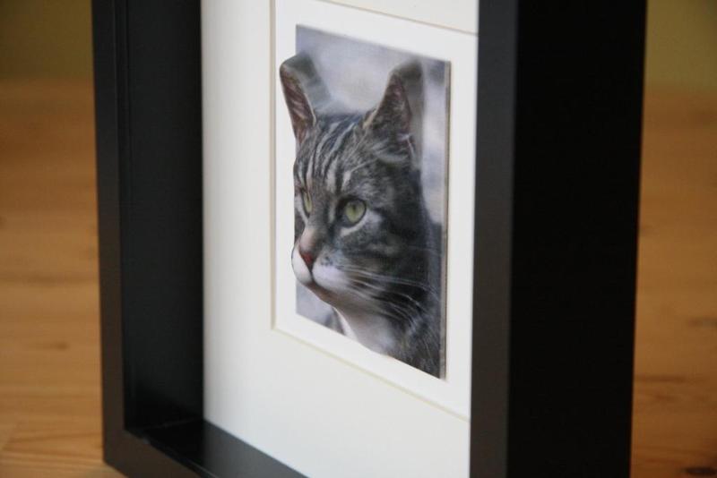 3D from any 2D (or From Flat to Cat)