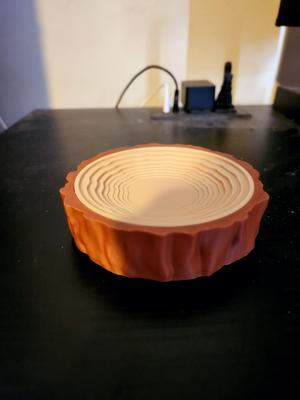 Log Topology Bowl!