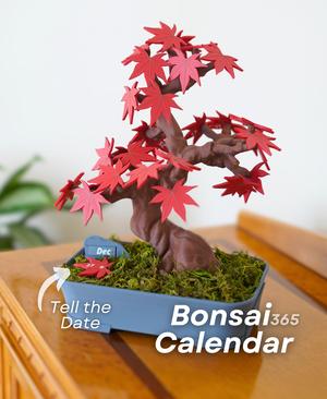Bonsai 365 Tree Calendar - Japanese Maple Calendar for your Desk