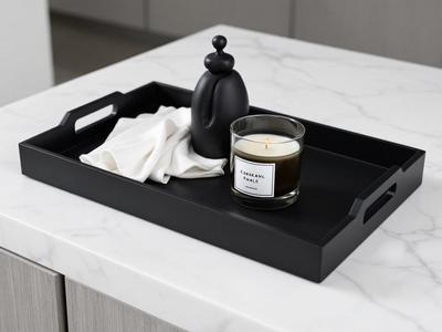 Modern Designer Tray with Handles