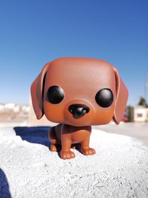 DOG FOP