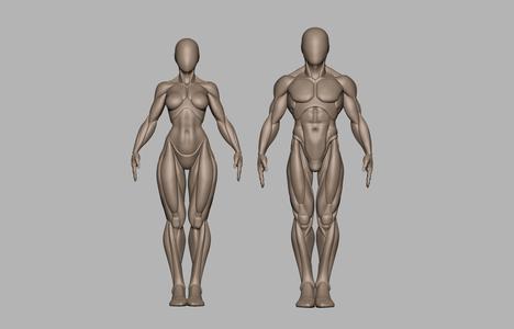 Male and female basemeshes pack