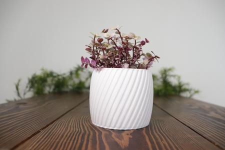 Aero Planter