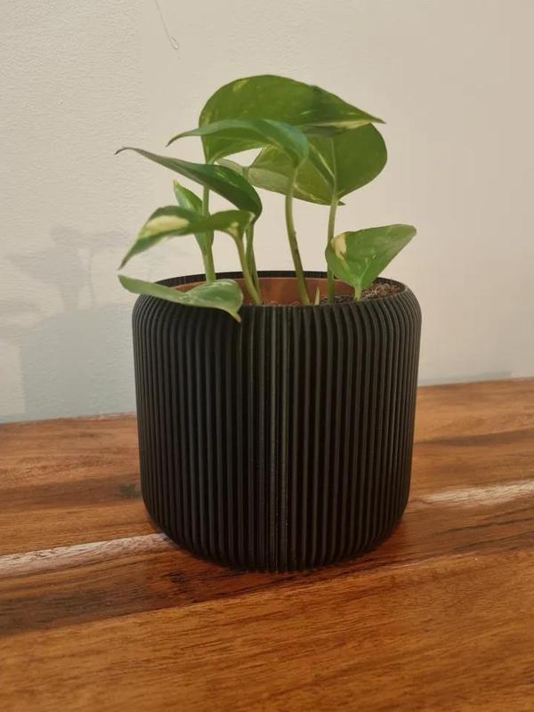 Paramteric Plant Pot/Vase
