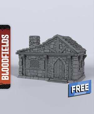 Small Building A – With Free Dragon  – 5e DnD Inspired for RPG and Wargamers