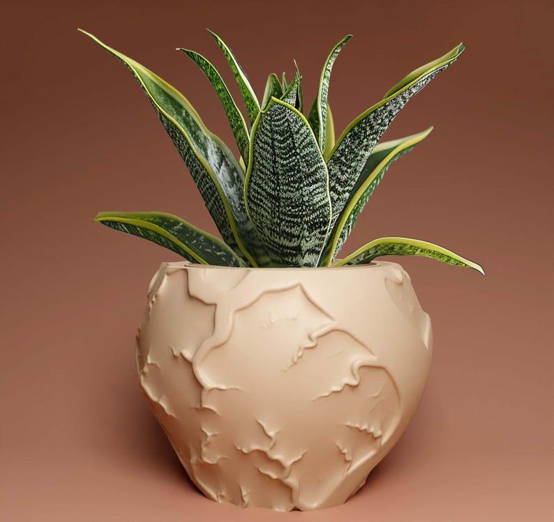 Plant pot with drainage 3D Printer STL file: instant download, gardening gift