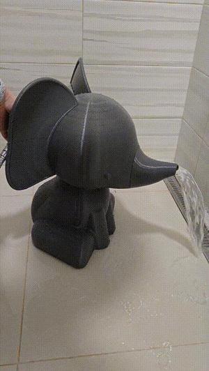 Elephant shower