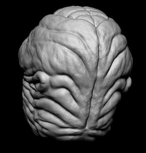 Roonan – Star Wars Jedi Action Figure Head Sculpt – 3D File STL