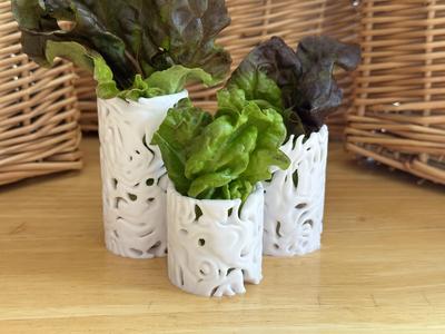 Lactuca Cylinder Vase Large