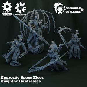 Zwyntar Huntresses