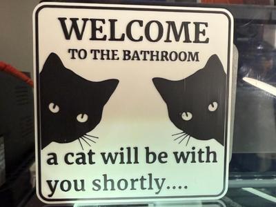 WELCOME TO THE BATHROOM, A CAT WILL BE WITH YOU 