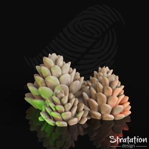 Pine Cone Bunch