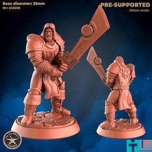 Silver Paladin Mograin Attack