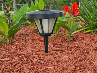 Garden Solar Light