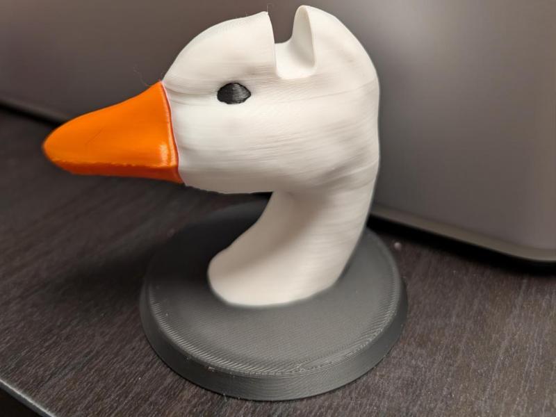 Horrible goose glasses with colored eyes