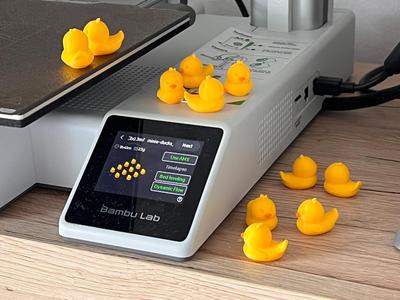 Little Sunny Ducks