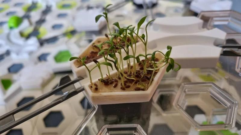 Gravitrax Seed Planter