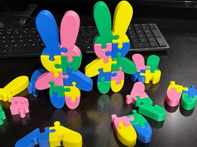 Simple Bunny 9-Piece Puzzle NO AMS NEEDED