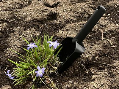 Planting Spade