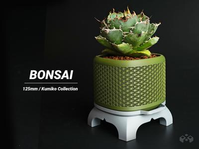 Kumiko Superellipse Bonsai Planter with Legs