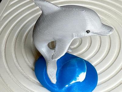 Jumping Dolphin REMIX with Color