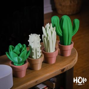 Cute Cactus Home Decor