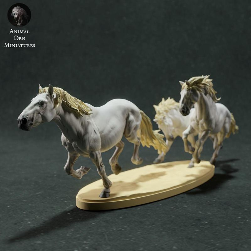 Camargue Horses Running