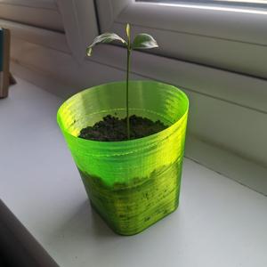 Seedling Planter – 14 grams