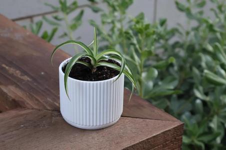 70’s Style Planter with drainage holes
