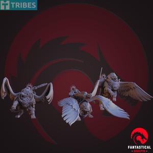 Paladin – Lion Rider