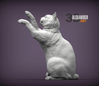 the cat sits on its hind legs