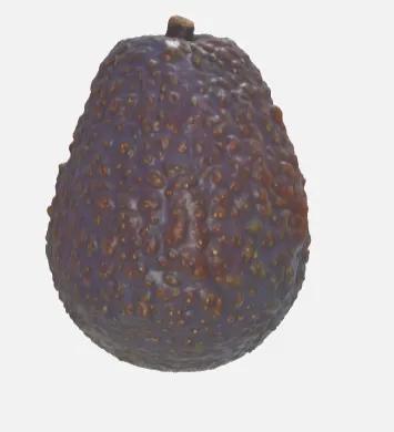avocado   