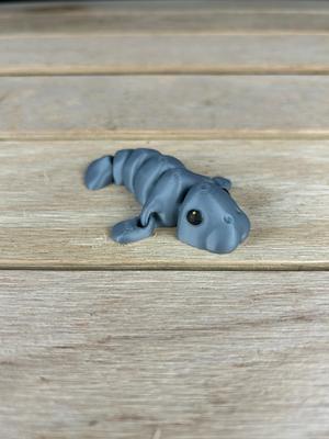 Manatee Fidget