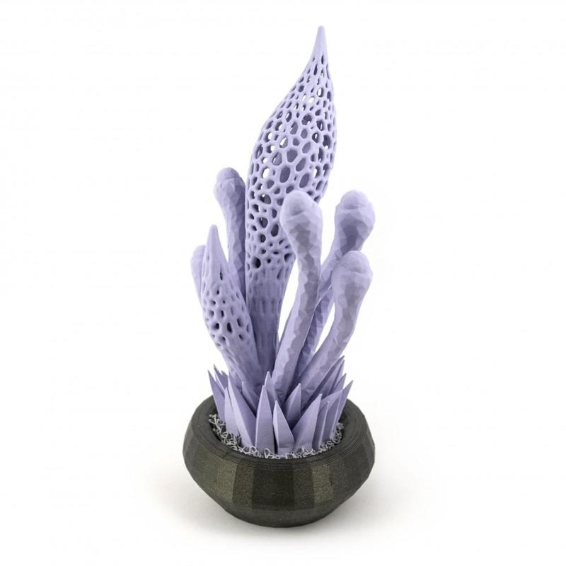 Alien Garden // Plant 5