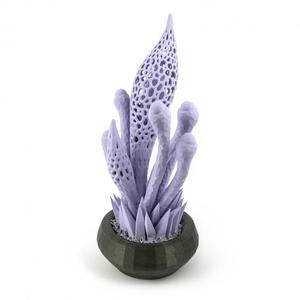 Alien Garden // Plant 5