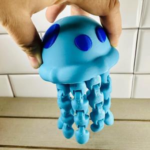 Painted Jellyfish