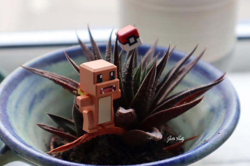 Pokemon Quest – 004 Charmander
